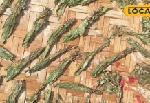 Biria can be made from these sago can take unseasonal taste of sago