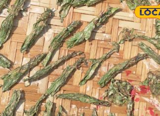 Biria can be made from these sago can take unseasonal taste of sago