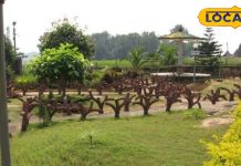 रोजगार से स्वास्थ्य तक! गिरिडीह में बन रहा है झारखंड का पहला मेडिसिन प्लांट, जहां औषधीय पौधों से होगा इलाज