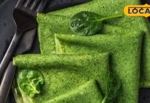 Neem leaves benefits: गर्मियों में नीम की पत्तियों से बनी 5 बेहतरीन डिशेज और उनके फायदे