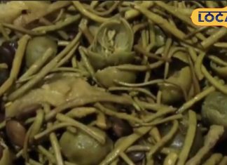 जालोर में बनने वाली यह शाही सब्जी मेवा से भी होती है महंगी, शीतला सप्तमी पर हर घर में होती है तैयार