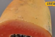 पराठा, पूरी, खिचड़ी के साथ परोसें. – Bharat.one हिंदी