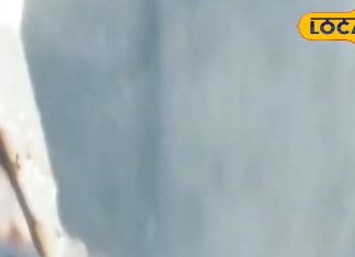 इस मौसम में जहर है ये खाना, तुरंत बदल लें आदतें, नहीं तो पूरे सीजन लगेगा डॉक्टर का चक्कर!