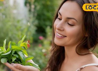 गर्मी में रोज सुबह चबाएं ये 10 ताजी पत्तियां… पेट का pH लेबल होगा बैलेंस, लू का असर भी होगा कम