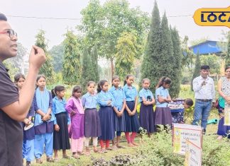 घर में लगा लें ये 32 तरह के पौधे, कभी नहीं जाना पड़ेगा डॉक्टर के पास, रहेंगे एकदम फिट…