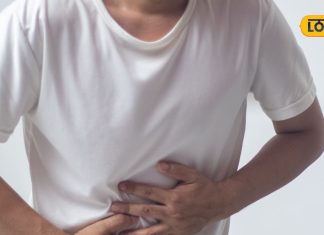 गर्मी में सता रहा फूड पॉइजनिंग का डर? ट्राई करें अदरक-शहद औरनींबू के ये नुस्खे! फटाफट होगा असर