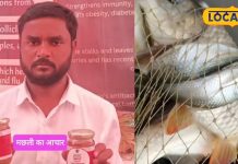 Fish Pickle: рджреАрд╡рд╛рдирд╛ рдмрдирд╛ рджреЗрдЧрд╛ рдордЫрд▓реА рдХрд╛ рдЕрдЪрд╛рд░, рдЦрд╛рддреЗ рд╣реА рднреВрд▓ рдЬрд╛рдПрдВрдЧреЗ рдмрд╛рдВрдХреА рд╕рдм рдХреБрдЫ, рдпрд╣рд╛рдВ рд╕реЗ рдХрд░ рд╕рдХрддреЗ рд╣реИрдВ рдЦрд░реАрдж