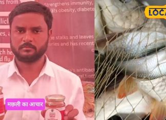 Fish Pickle: दीवाना बना देगा मछली का अचार, खाते ही भूल जाएंगे बांकी सब कुछ, यहां से कर सकते हैं खरीद