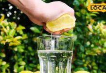 लू की हो जाएगी छुट्टी, गर्मी बढ़ते ही शुरू कर दें इसका सेवन, शरीर की सभी नसों में फूंक देगा जान