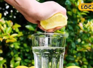 लू की हो जाएगी छुट्टी, गर्मी बढ़ते ही शुरू कर दें इसका सेवन, शरीर की सभी नसों में फूंक देगा जान