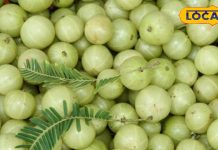 100 साल पुरानी यूपी की मुरब्बा गली, यहां चारों तरफ डिब्बे में पैक है सेहत का खजाना, खरीदारों की लगी रहती है लंबी लाइन