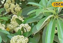 डॉक्टर अमित वर्मा का सुझाव. – Bharat.one हिंदी