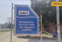 जानें अंडे से बने अचार के फायदे, कई महीने कर सकते हैं स्टोर, निकाली बर्बादी से बचाने की ट्रिक