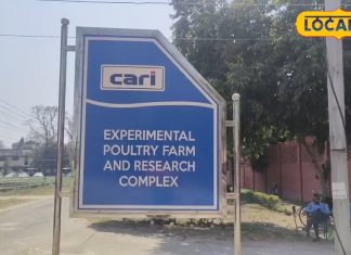 जानें अंडे से बने अचार के फायदे, कई महीने कर सकते हैं स्टोर, निकाली बर्बादी से बचाने की ट्रिक