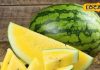 Healthy Summer Foods: गर्मियों में स्वस्थ रहने के लिए अपनाएं ये 4 फूड्स: डॉ राजकुमार