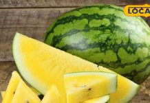 Healthy Summer Foods: गर्मियों में स्वस्थ रहने के लिए अपनाएं ये 4 फूड्स: डॉ राजकुमार