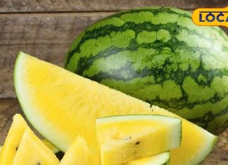 Healthy Summer Foods: गर्मियों में स्वस्थ रहने के लिए अपनाएं ये 4 फूड्स: डॉ राजकुमार