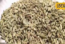 अरे सौंफ के इतने फायदे…इन बीमारियों में तो रामबाण औषधि है, जानिए एक्सपर्ट से इसके बारे में