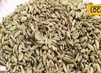 अरे सौंफ के इतने फायदे…इन बीमारियों में तो रामबाण औषधि है, जानिए एक्सपर्ट से इसके बारे में