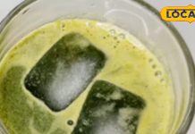 Health News: रोज पिएं इन हरी पत्तियों का पानी, शरीर को मिलेगी ठंडक, मानसिक तनाव से मिलेगा छुटकारा