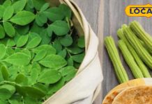 देहरादून में लीजिए सहजन के पराठों का स्वाद, कीमत सुनकर दांतों तले दबा लेंगे ऊंगली