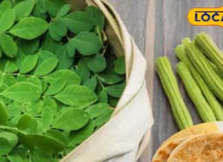 देहरादून में लीजिए सहजन के पराठों का स्वाद, कीमत सुनकर दांतों तले दबा लेंगे ऊंगली