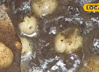 मीठा खाने का मन करें तो बनाएं ये जादुई हलवा, बच्चे हों या बड़े सभी के लिए फायदेमंद! ये रही आसान रेसिपी