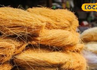 लच्छेदार से लेकर रोस्टेड तक! गोरखपुर के इस बाजार में मिलती हैं हर तरह की सेवइयां, ईद में होती है खास रौनक