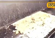 कुछ टेस्टी खाने का है मन… तो ट्राई कीजिए नागौर में ये स्पेशल डोसा… ड्राई फ्रूट्स से बनता है