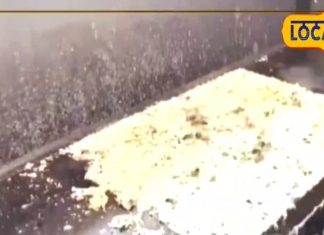 कुछ टेस्टी खाने का है मन… तो ट्राई कीजिए नागौर में ये स्पेशल डोसा… ड्राई फ्रूट्स से बनता है