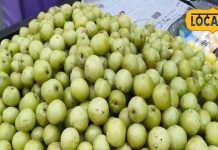 त्वचा, बाल और आंखों के लिए दवा का काम करता है ये फल, वजन घटाने में सहायक, पाचन में करें सुधार