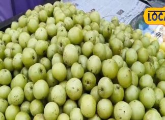 त्वचा, बाल और आंखों के लिए दवा का काम करता है ये फल, वजन घटाने में सहायक, पाचन में करें सुधार