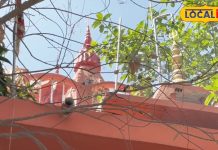 यहां है विश्व का एकमात्र होनी माता का मंदिर, देवरिया में इस चीज का सबसे बड़ा गढ़