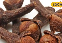 Holika Dahan Long Ke Upay: होलिका दहन के टोटके: जरूर करें लौंग के ये जादुई उपाय, नकारात्मक उर्जा हो जाएगी दूर, सेहत भी रहेगी ठीक