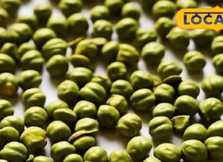 – Bharat.one हिंदी