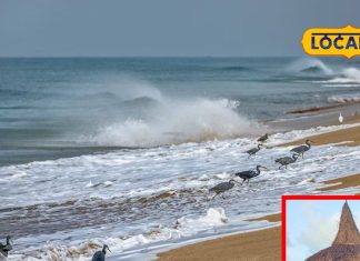 न गोवा, न अंडमान! गुजरात का ये बीच है सबसे खास, जहां श्रीकृष्ण और रुक्मिणी का हुआ था दिव्य विवाह