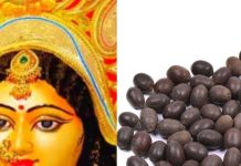 Kamal Gatte Ke Upay: चैत्र नवरात्रि में करें कमलगट्टे का ये उपाय, धन-दौलत की नहीं रहेगी कमी, कर्ज से मिलेगी मुक्ति!