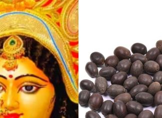 Kamal Gatte Ke Upay: चैत्र नवरात्रि में करें कमलगट्टे का ये उपाय, धन-दौलत की नहीं रहेगी कमी, कर्ज से मिलेगी मुक्ति!