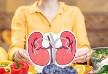 किडनी की सेहत को महफूज रखना है तो इन 5 फूड को अभी से कर लें डाइट में शामिल, शरीर का जहर आसानी से निकलता रहेगा