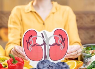 किडनी की सेहत को महफूज रखना है तो इन 5 फूड को अभी से कर लें डाइट में शामिल, शरीर का जहर आसानी से निकलता रहेगा