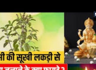 Lighting Diya : इस तरह दीया जलाने से सफल हो जाता है एकादशी व्रत, जानें इस दीपक के लाभ