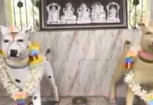 Mysterious Temple: भारत का अनोखा मंदिर जहां होती है कुत्तों की पूजा, बेहद दिलचस्प है इसके पीछे की कहानी