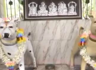 Mysterious Temple: भारत का अनोखा मंदिर जहां होती है कुत्तों की पूजा, बेहद दिलचस्प है इसके पीछे की कहानी