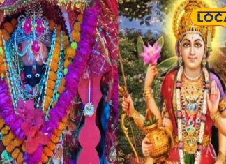 Navratri 2025 Remedies: नवरात्रि में जरूर करें इस स्तोत्र का पाठ…कभी नहीं टूटेगा दुखों का पहाड़, नौकरी में भी मिलेगी खूब सफलता!