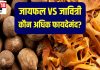 जायफल और जावित्री के औषधीय लाभ और उपयोग
