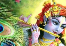 Peacock Feather: मोरपंख के इस अनोखे प्रयोग से बदल जाएंगे आपके सितारे ! कुंडली में मौजूद सभी ग्रह हो जाएंगे उच्च