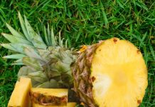 इस फल का एक कतरा रोज खाएं, उम्र की रफ्तार ठहर जाएगी, चेहरे पर दिखेगी लाली, पेट के लिए वरदान