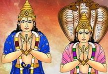 Rahu Ketu Dosh Upay: राहु-केतु के बुरे प्रभाव ने कर रखा है परेशान? आज ही कर लें इनका बेहद असरदार उपाय