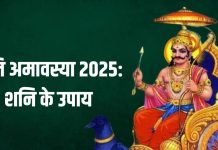Shani Amavasya 2025 Upay: आ रही है शनि अमावस्या, कर लें ये 3 उपाय, ढैय्या और साढ़ेसाती के मिटेंगे कष्ट, दुख होंगे दूर!