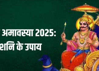 Shani Amavasya 2025 Upay: आ रही है शनि अमावस्या, कर लें ये 3 उपाय, ढैय्या और साढ़ेसाती के मिटेंगे कष्ट, दुख होंगे दूर!